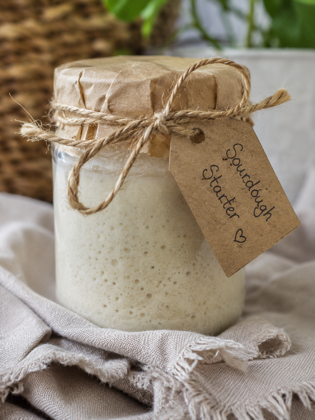 Live Sourdough Starter